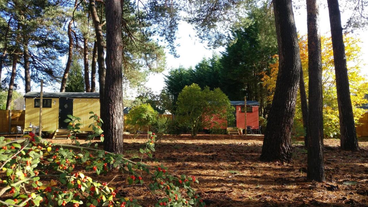 Forest Heath Shepherd'S Huts Ringwood Exterior photo