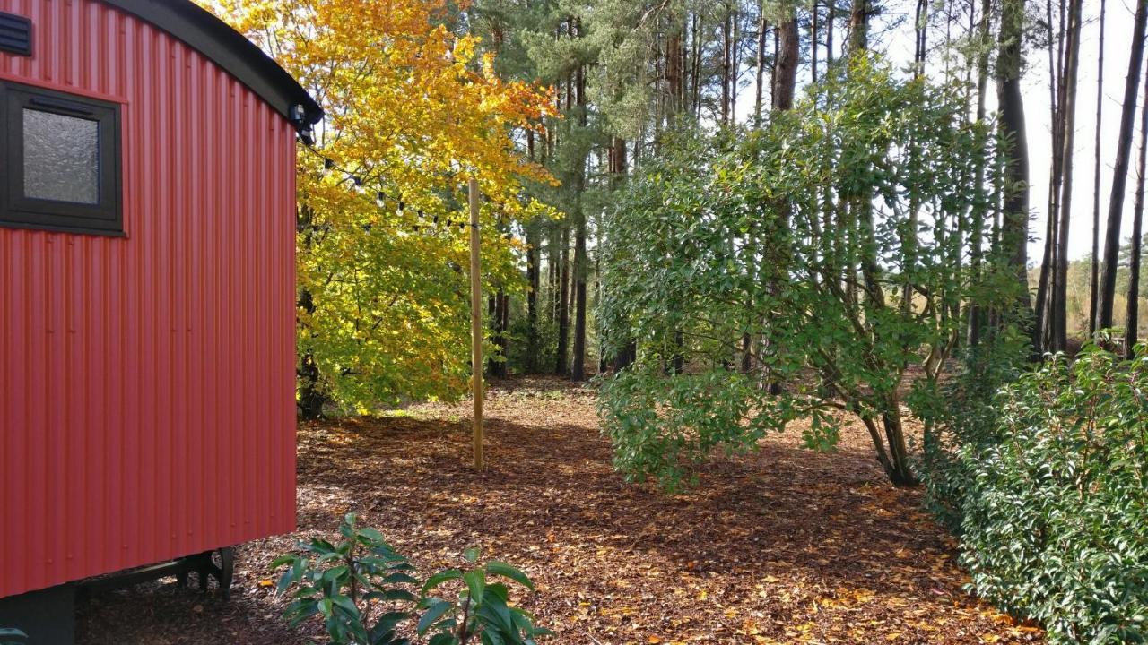 Forest Heath Shepherd'S Huts Ringwood Exterior photo