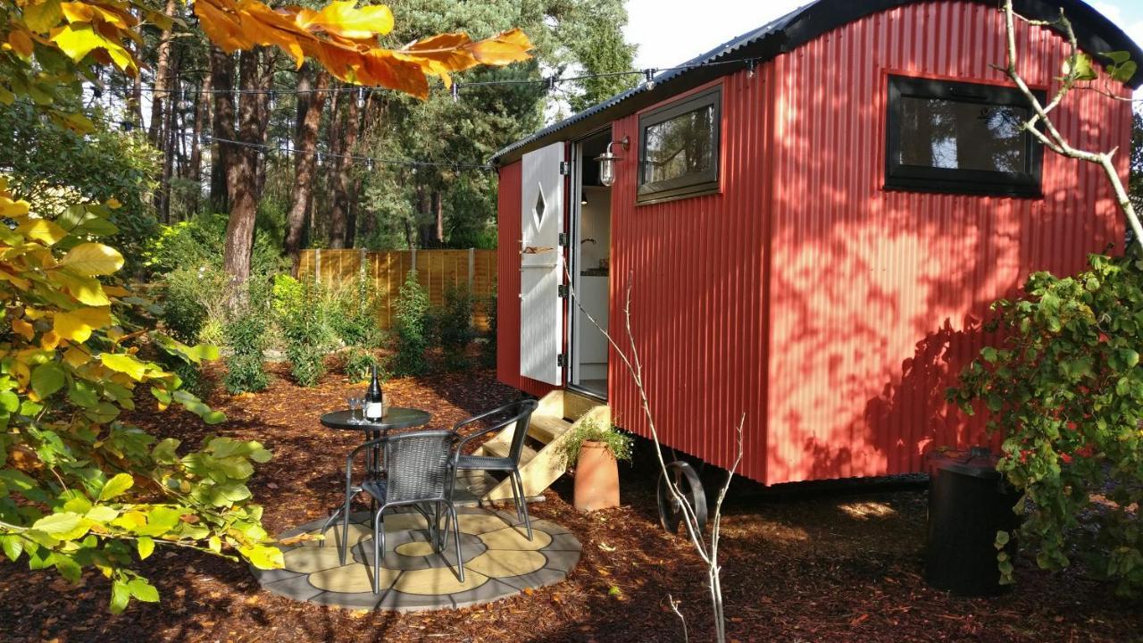 Forest Heath Shepherd'S Huts Ringwood Exterior photo